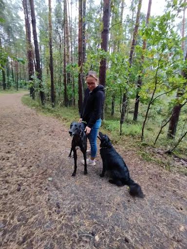 Vementi - behawiorysta psów Tarnów